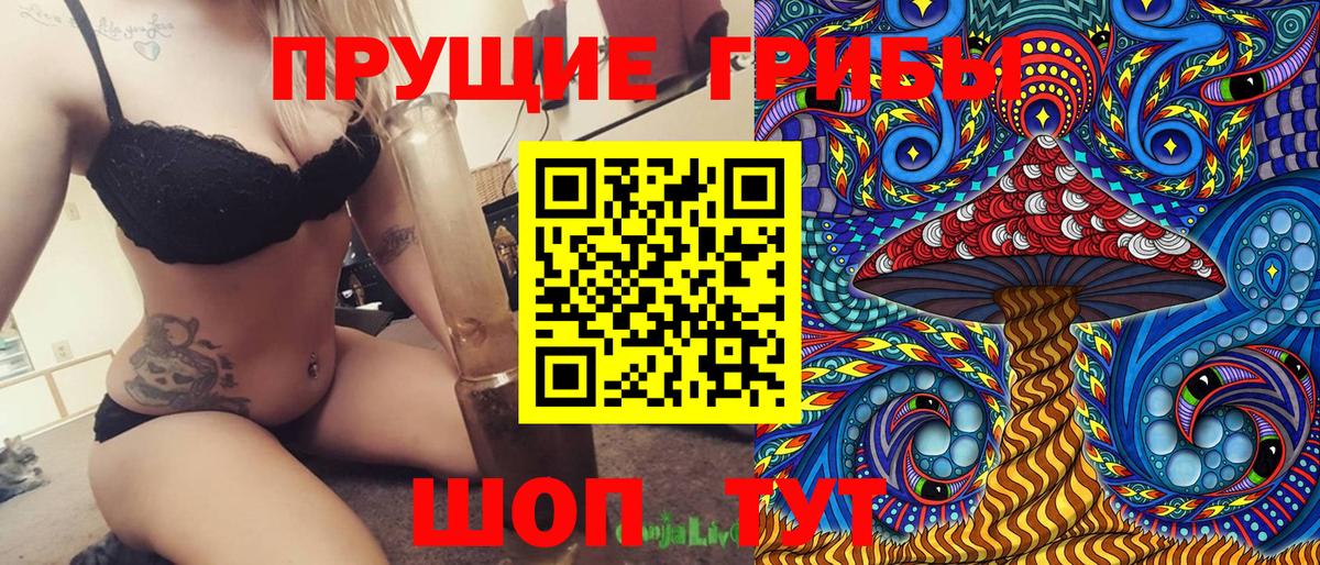 Галлюциногенные грибы Cubensis Всеволожск