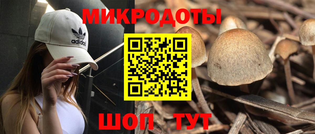 Метадон Всеволожск